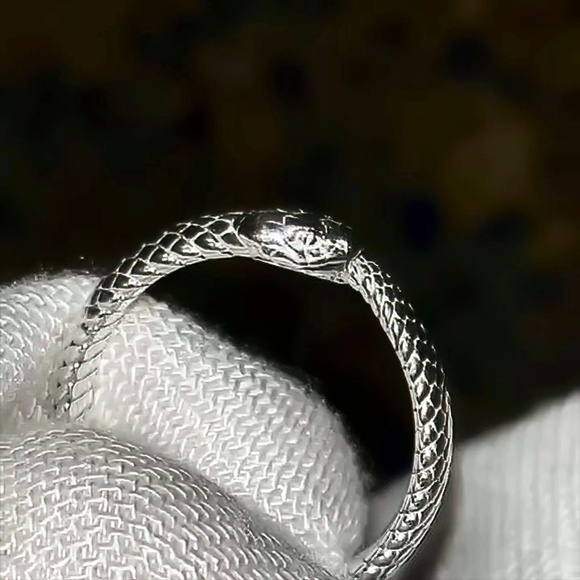 Ouroboros Snake - Simple Sterling Silver Ring - Picture 1 of 3